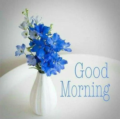 Blue Flowers in Vase with Minimal Good Morning Message