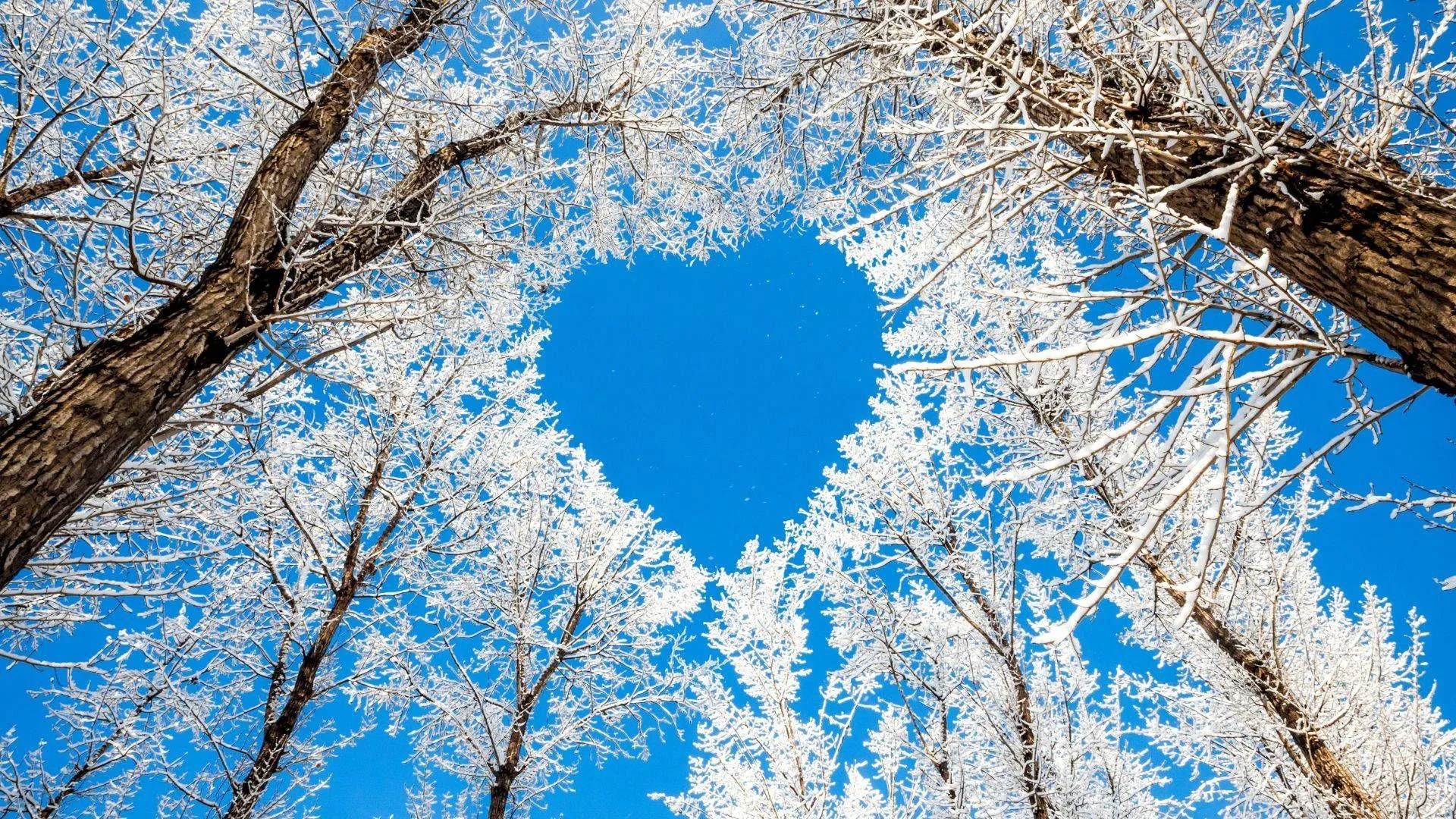 Blue Heart in Snow Showing Cold Yet Warm Love Wallpaper
