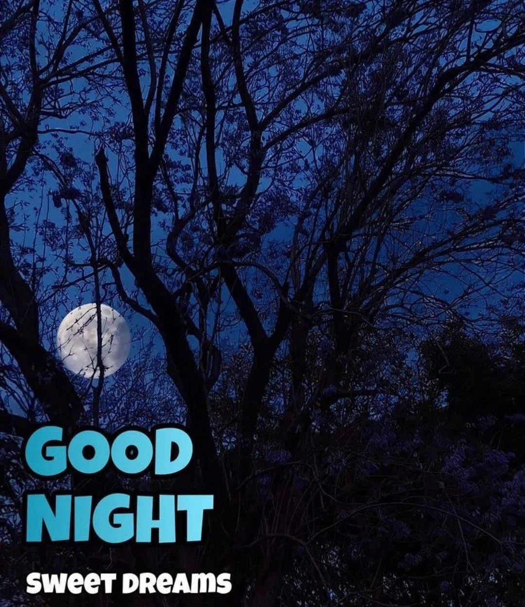 Blue Night Trees Saying Good Night with Peaceful Vibes