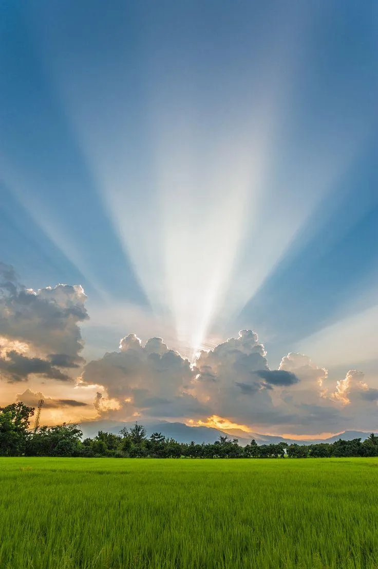 Blue Sky and Sunrise Rays Over a Calm Green Field Image