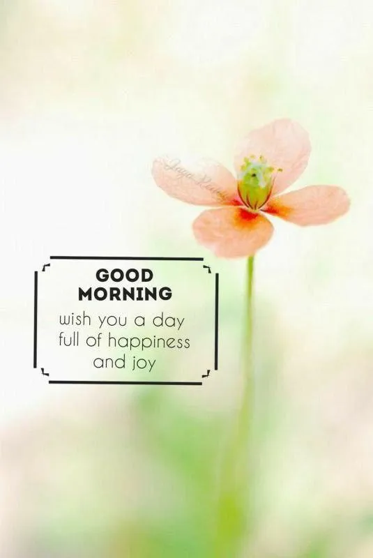 Blurry Pastel Background with Light Flower and Quote