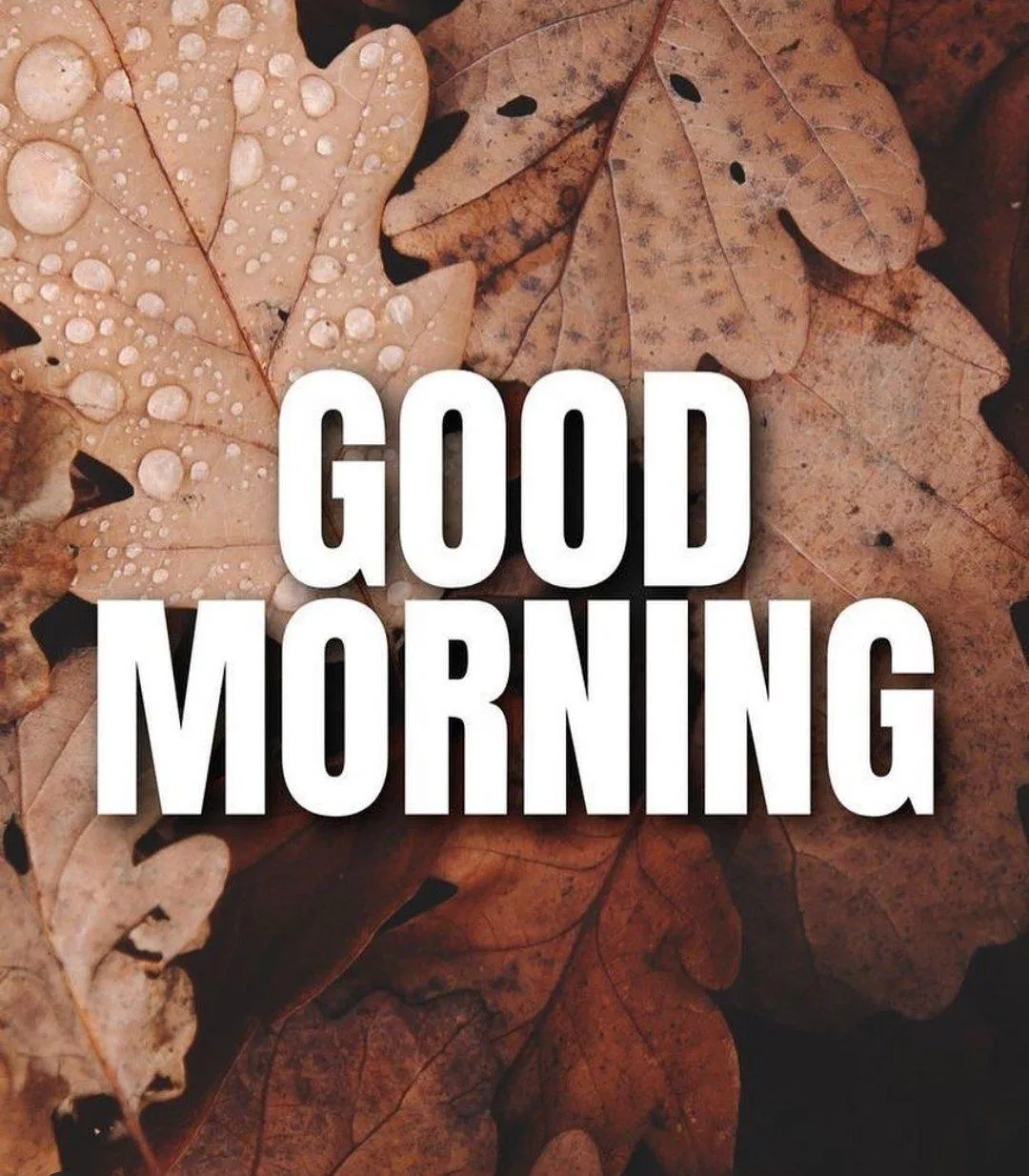 Bold Text Greeting Wishing You a Powerful Morning Image