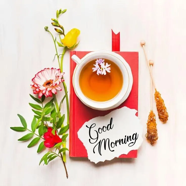 Breakfast Plate and Morning Quote with White Background