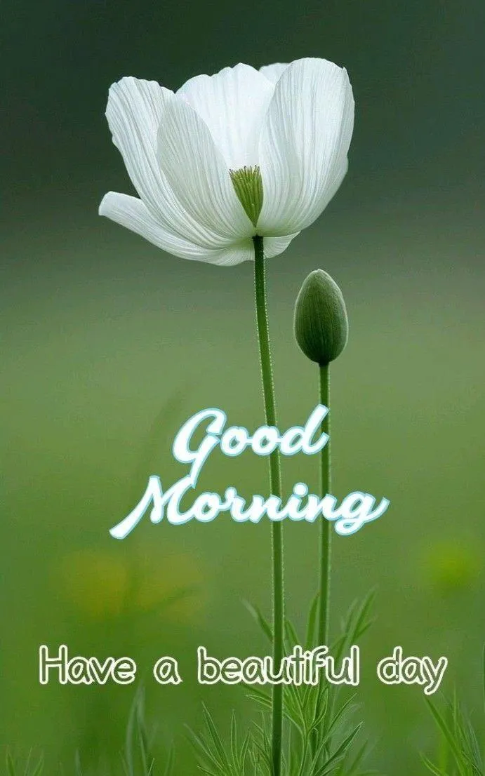 Bright Green Background Sharing a Beautiful Day Ahead