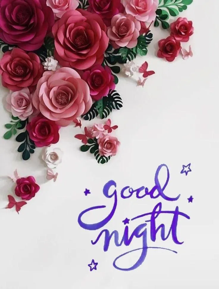 Bright Pink Flowers and Night Wishes Free Hd Image