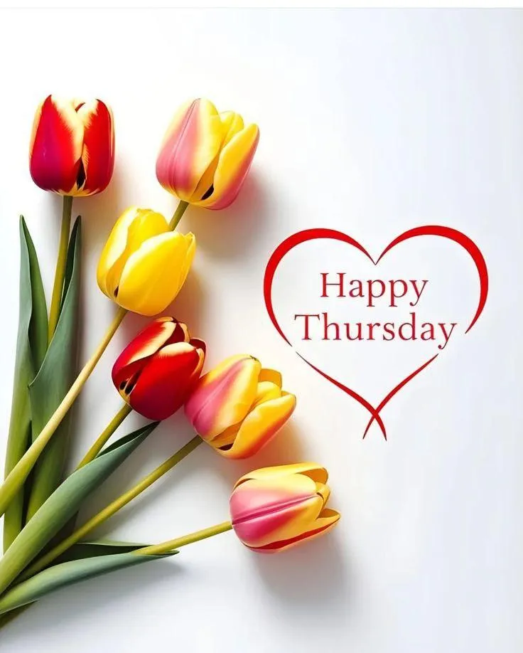 Bright Tulips Wishing You a Beautiful Happy Morning