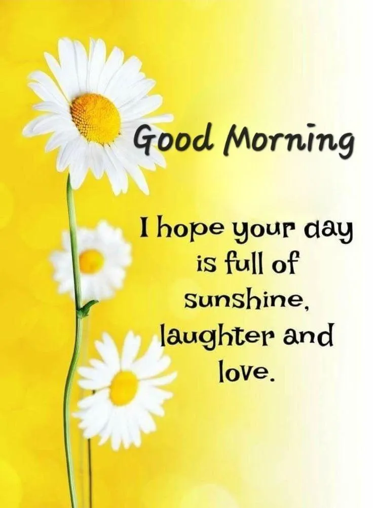 Bright Yellow Daisies Send a Happy Morning Message