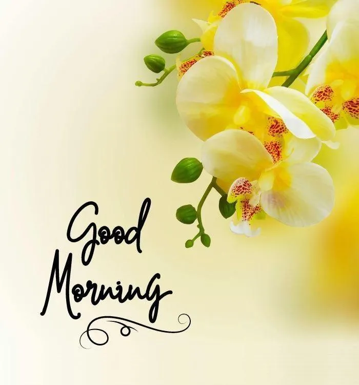 Bright Yellow Flowers for a Fresh Good Morning Start