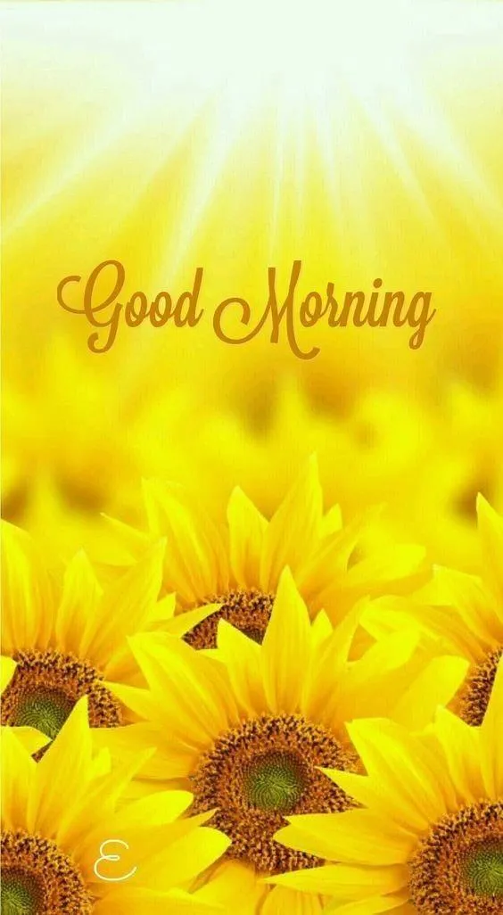 Bright Yellow Flowers Shine with a Fresh Good Morning