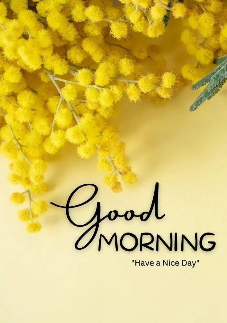 Bright Yellow Flowers with Good Morning Wishes for a New Day
