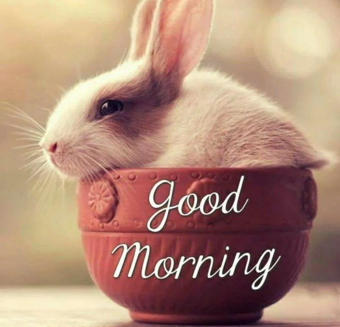 Bunny and Coffee Saying Have a Soft Sweet Morning Image