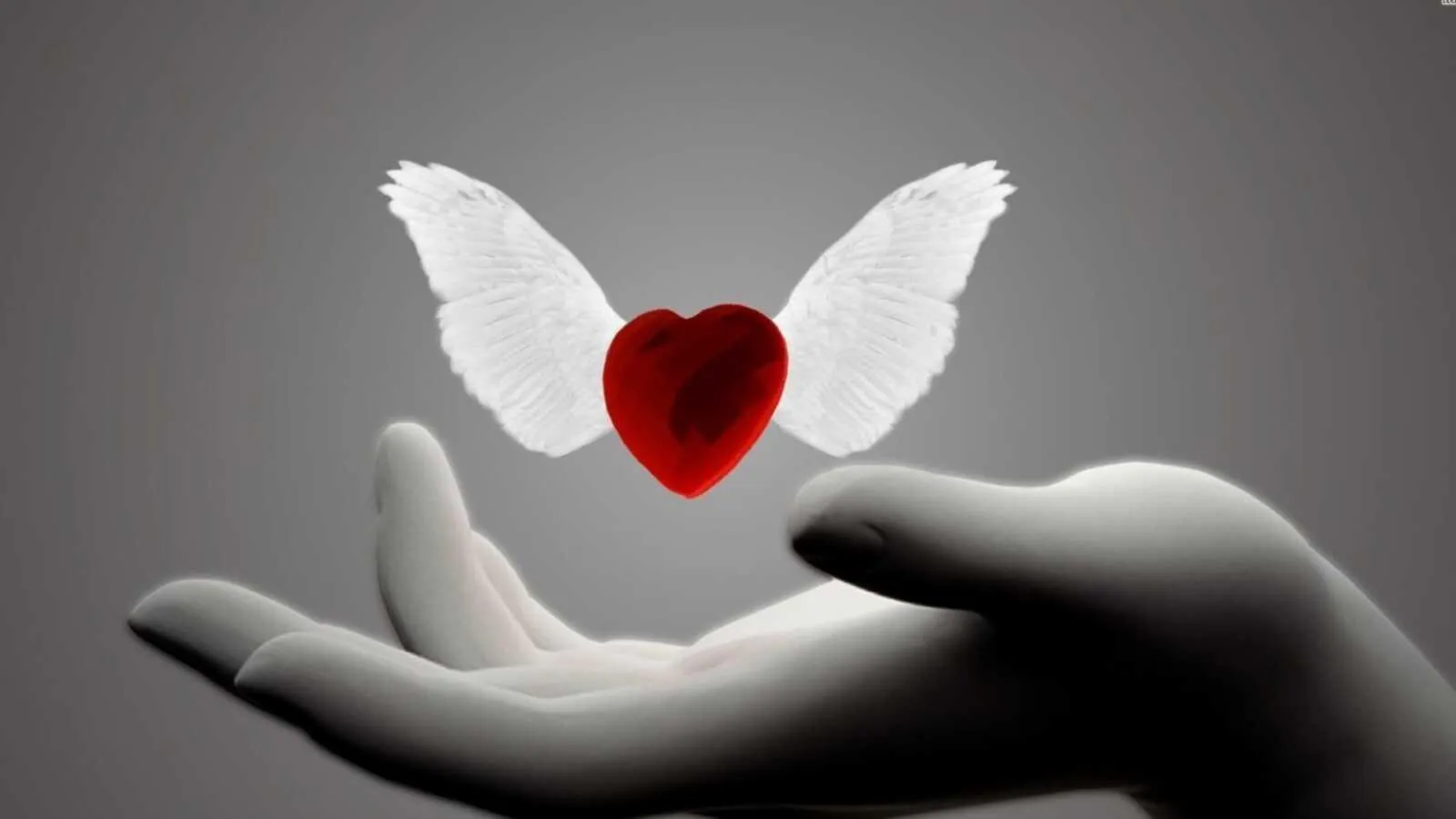 Butterfly and Heart in Hand Sign of Hope and Love Wallpaper