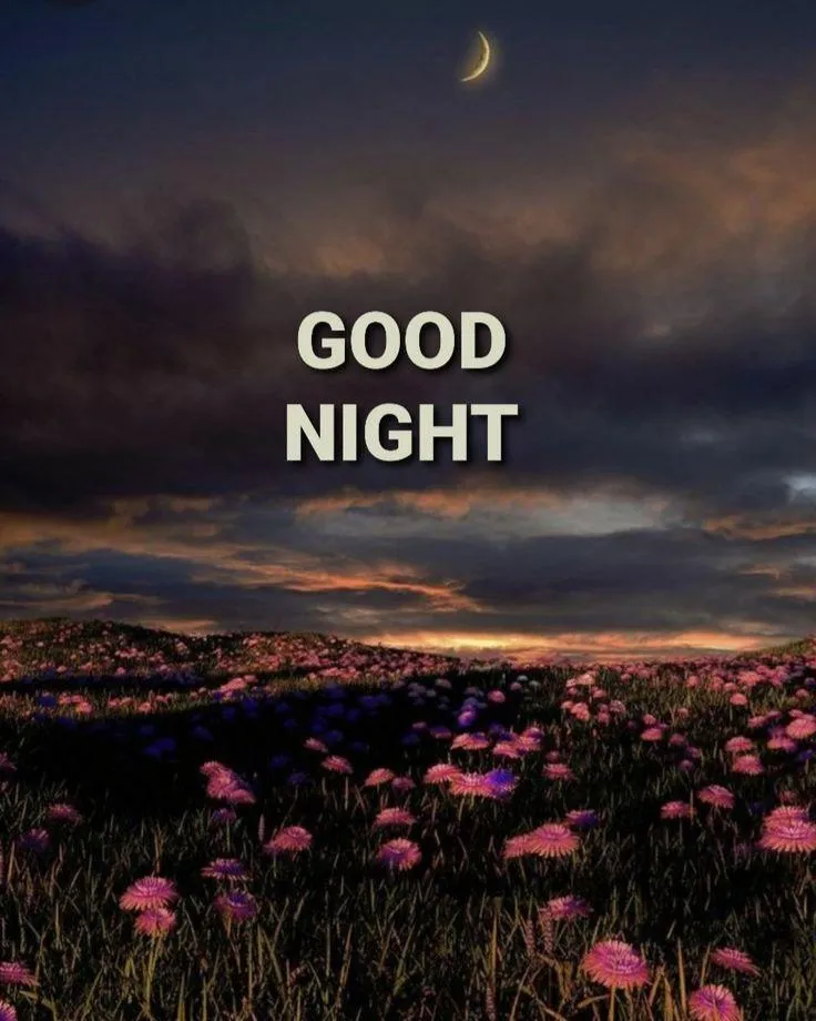 Calm Ocean View with Night Sky and Good Night Wishes