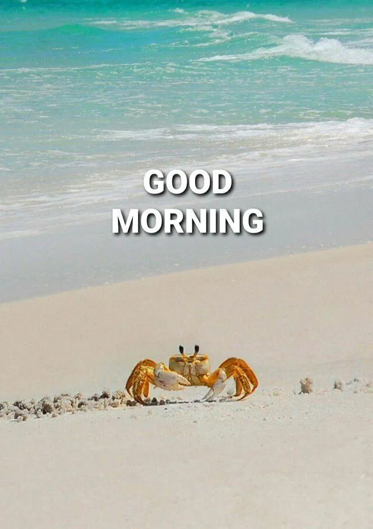 Calm Sandy Beach Morning to Boost Your Daily Energy