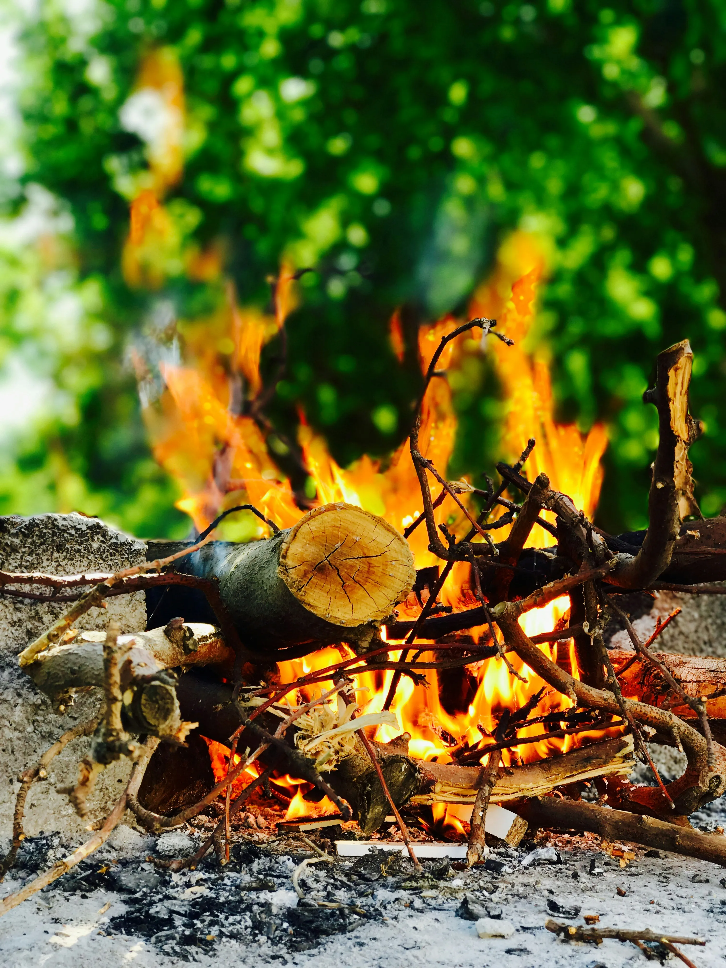 Campfire Burning Brightly in Peaceful Forest Wallpaper