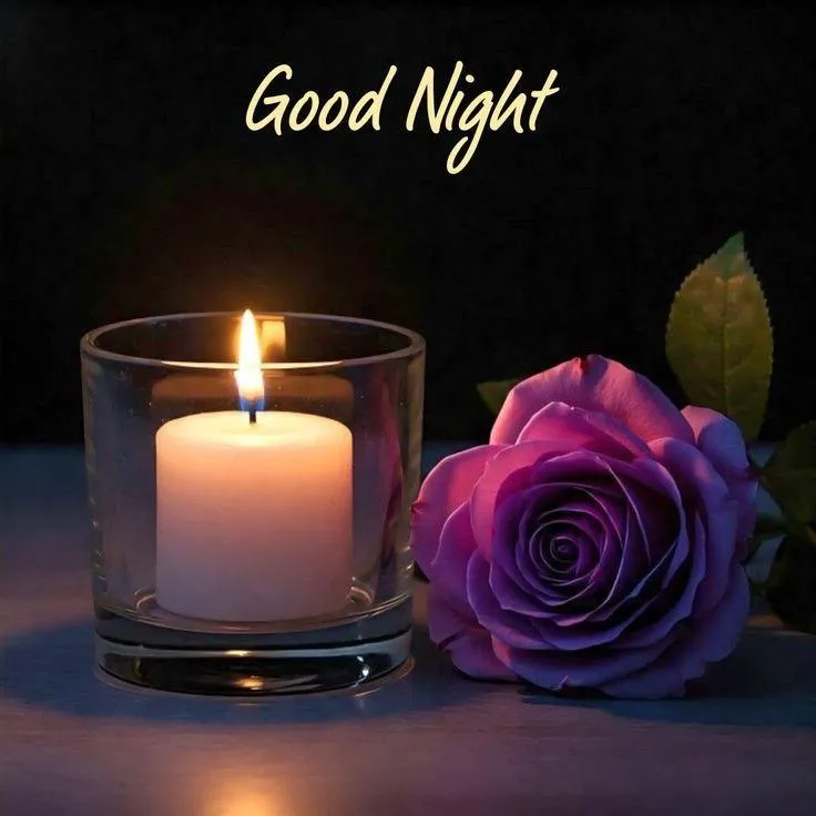 Candle and Purple Rose Night Image with Message Image