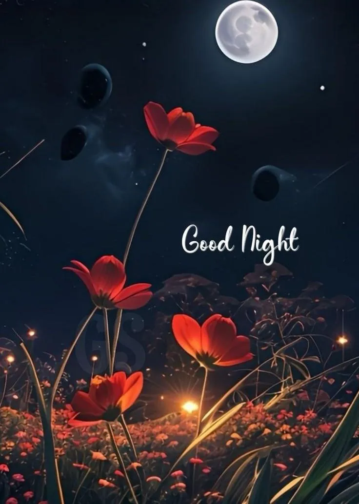 Candle and Red Flowers Say Emotional Good Night Wallpaper