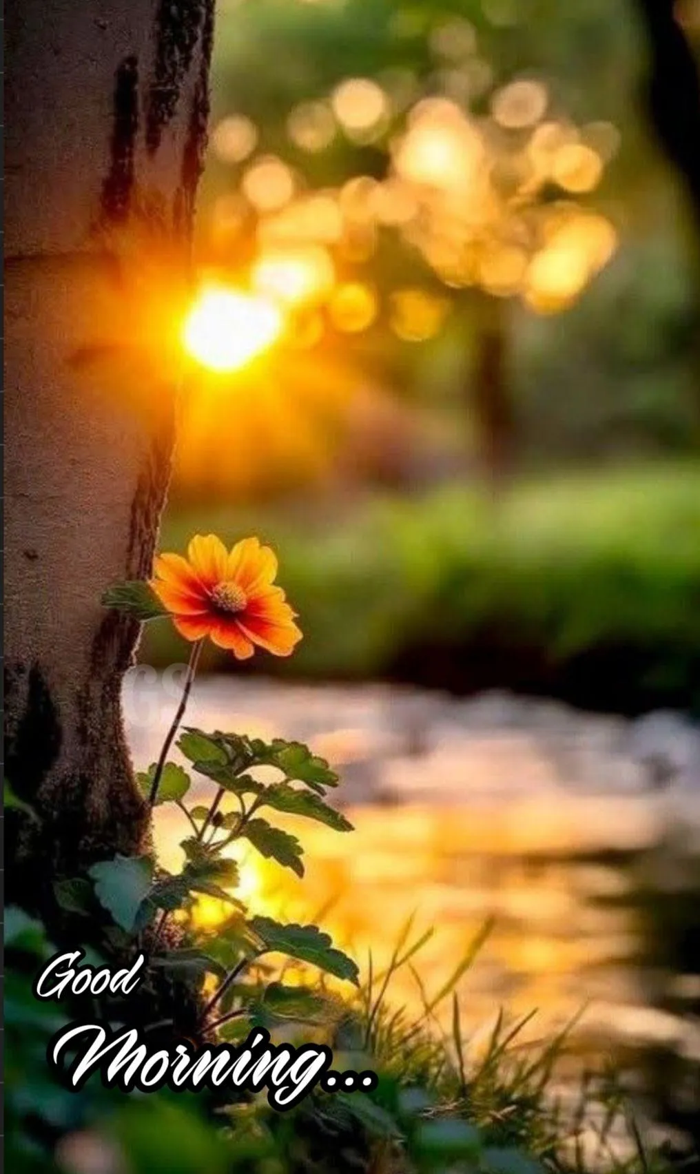 Candlelight and Bokeh Morning Scene with Warmth Image