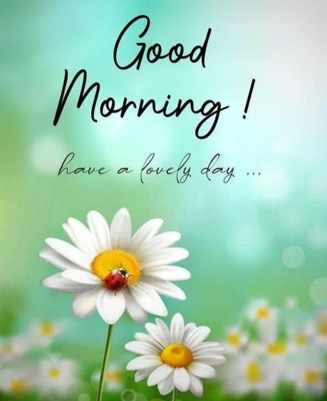 Cheerful Flowers Greeting for a Fresh Sunny Morning