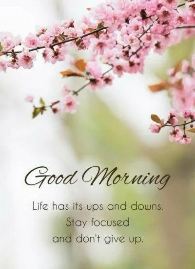 Cherry Blossom Greeting for a Fresh Morning Start Image