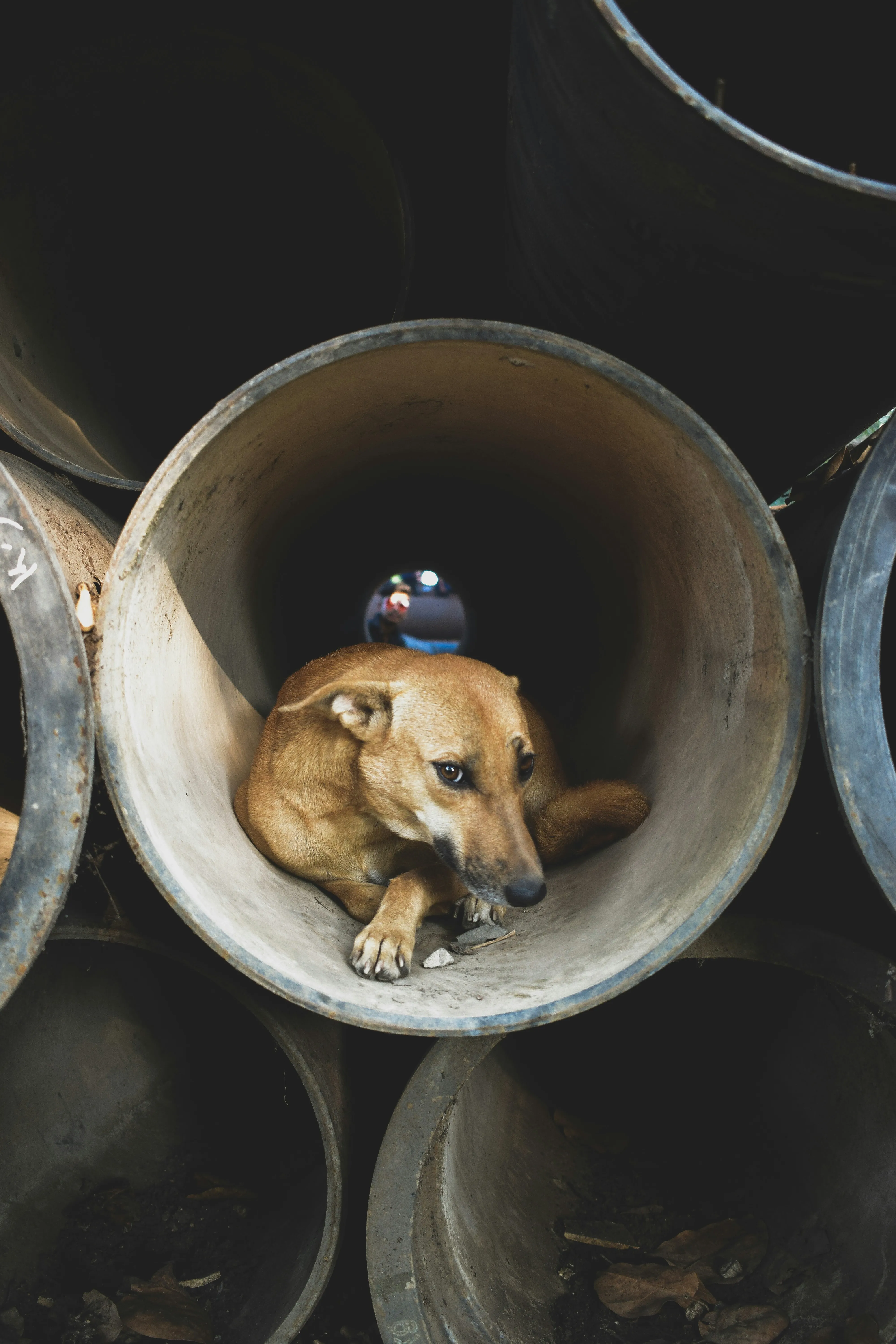 Coffee Cup Reflections of Warmth and Gentle Love Wallpaper