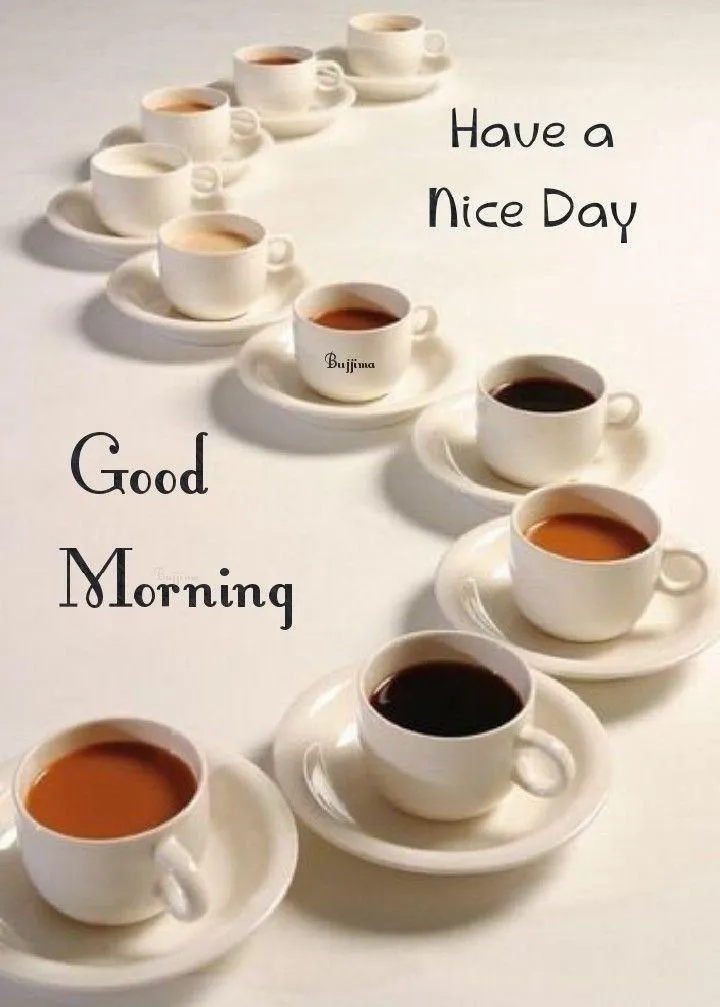 Coffee Cups Ready to Start Your Bright Good Morning