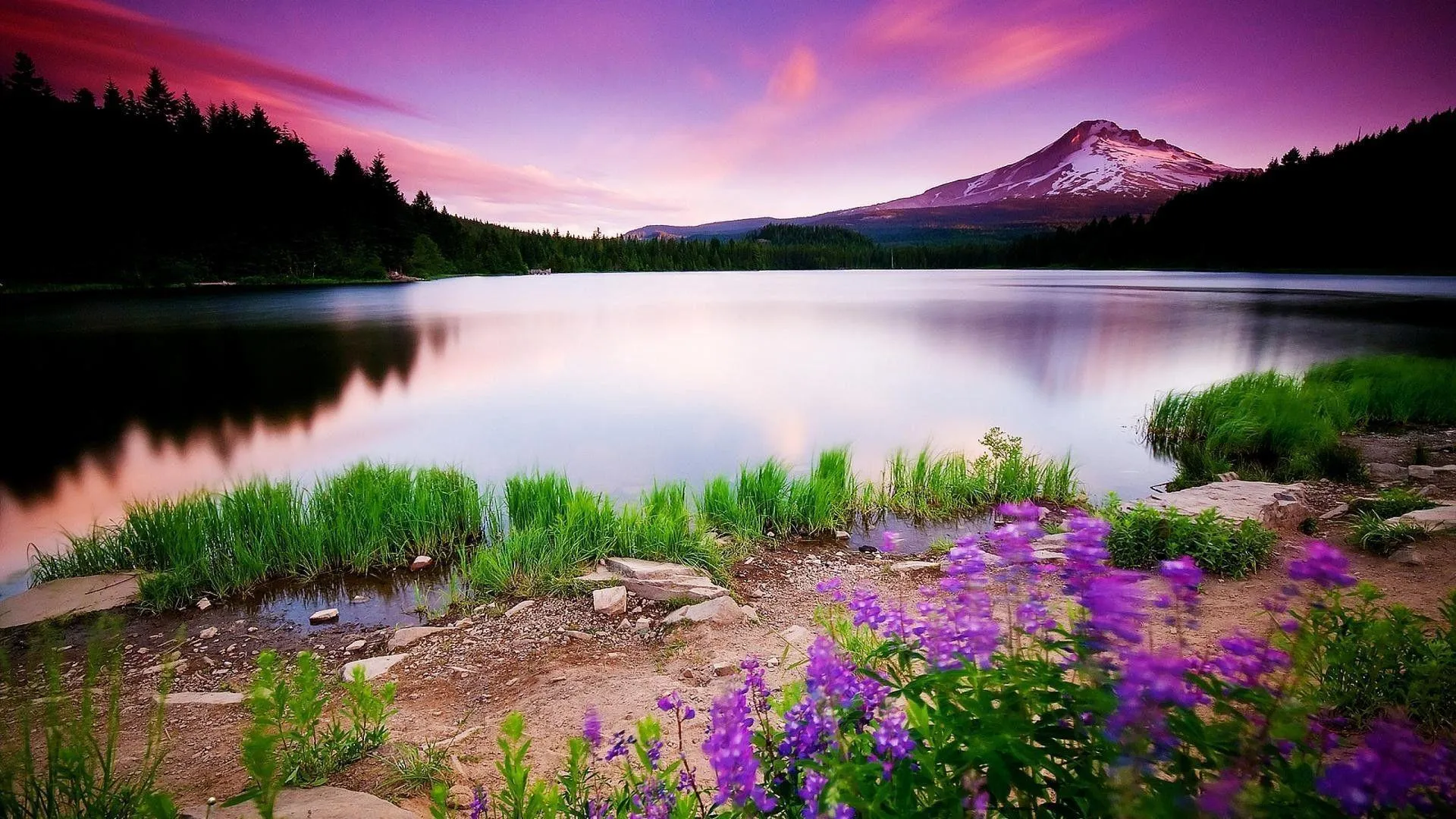 Colorful Lake Landscape Portraying Peaceful Romance