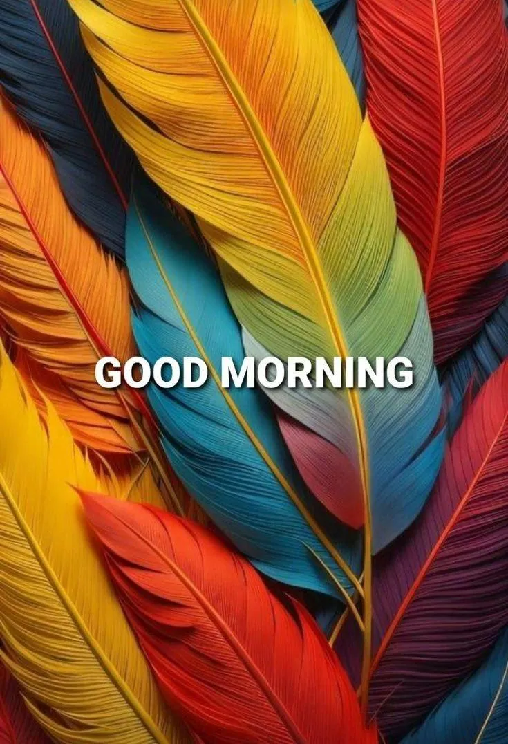 Colorful Leaves Background with Peaceful Message Image