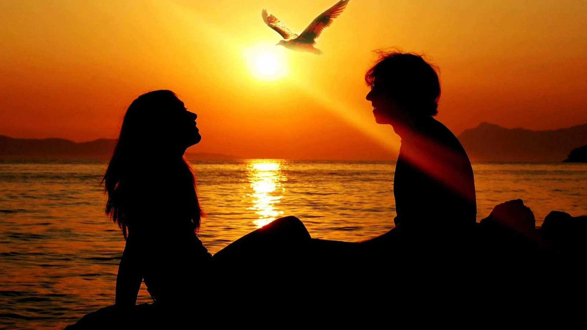 Couple Sitting Together at Sunset with Bird in Peaceful Love