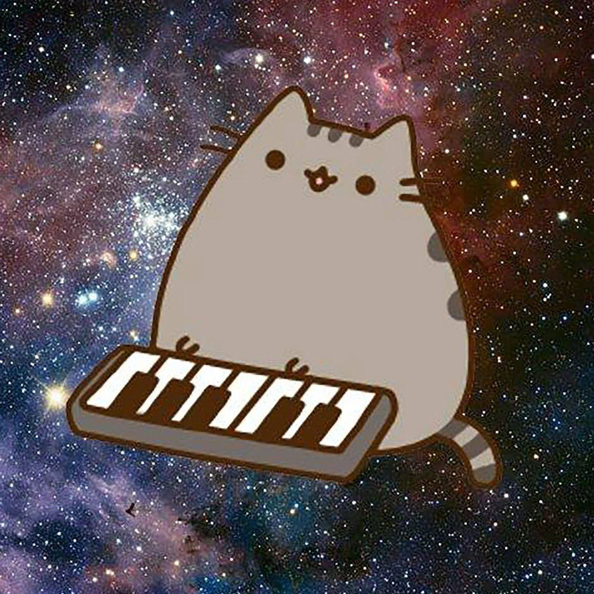 Cute Cat Playing Piano Spreading Joy and Love Wallpaper