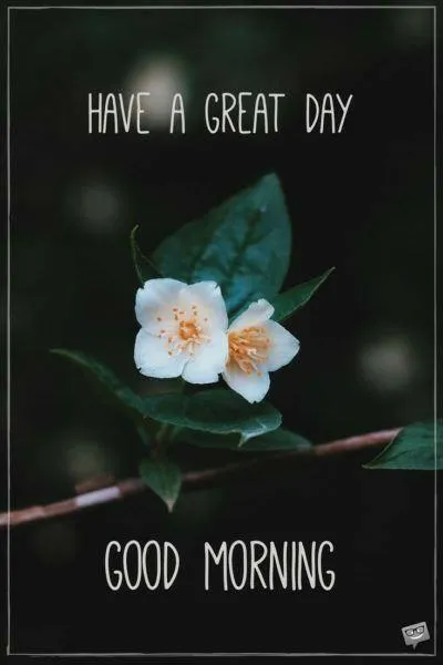 Dark Floral Background with Glow Text and Rose Graphic