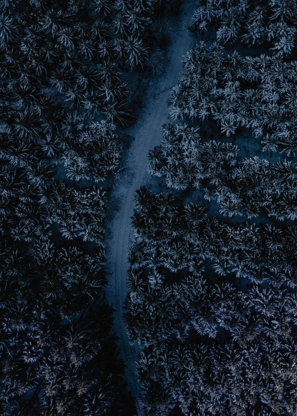 Dark Path Scene Symbolizing Lost or Lonely Love Wallpaper