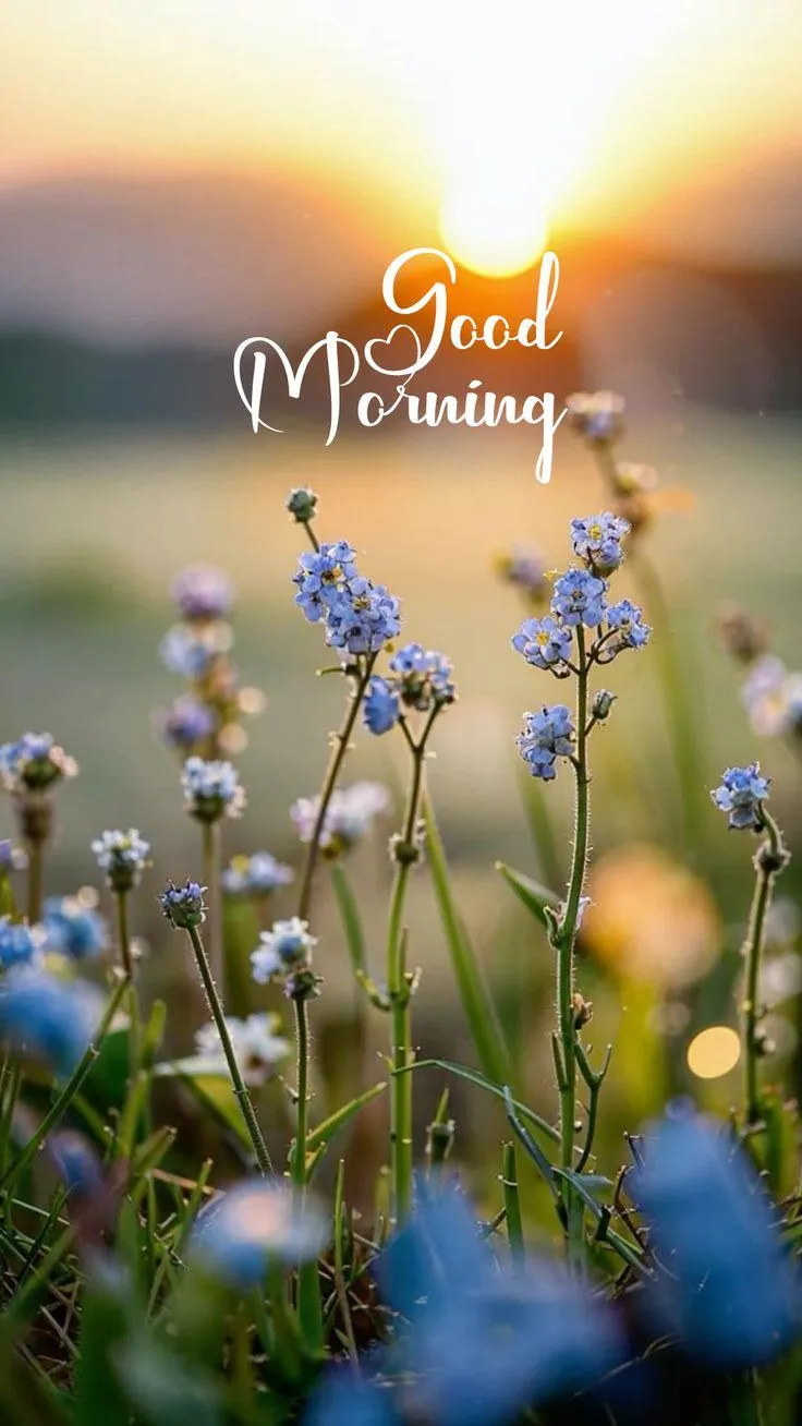 Delicate Blue Flowers Greeting a Calm and Bright Morning