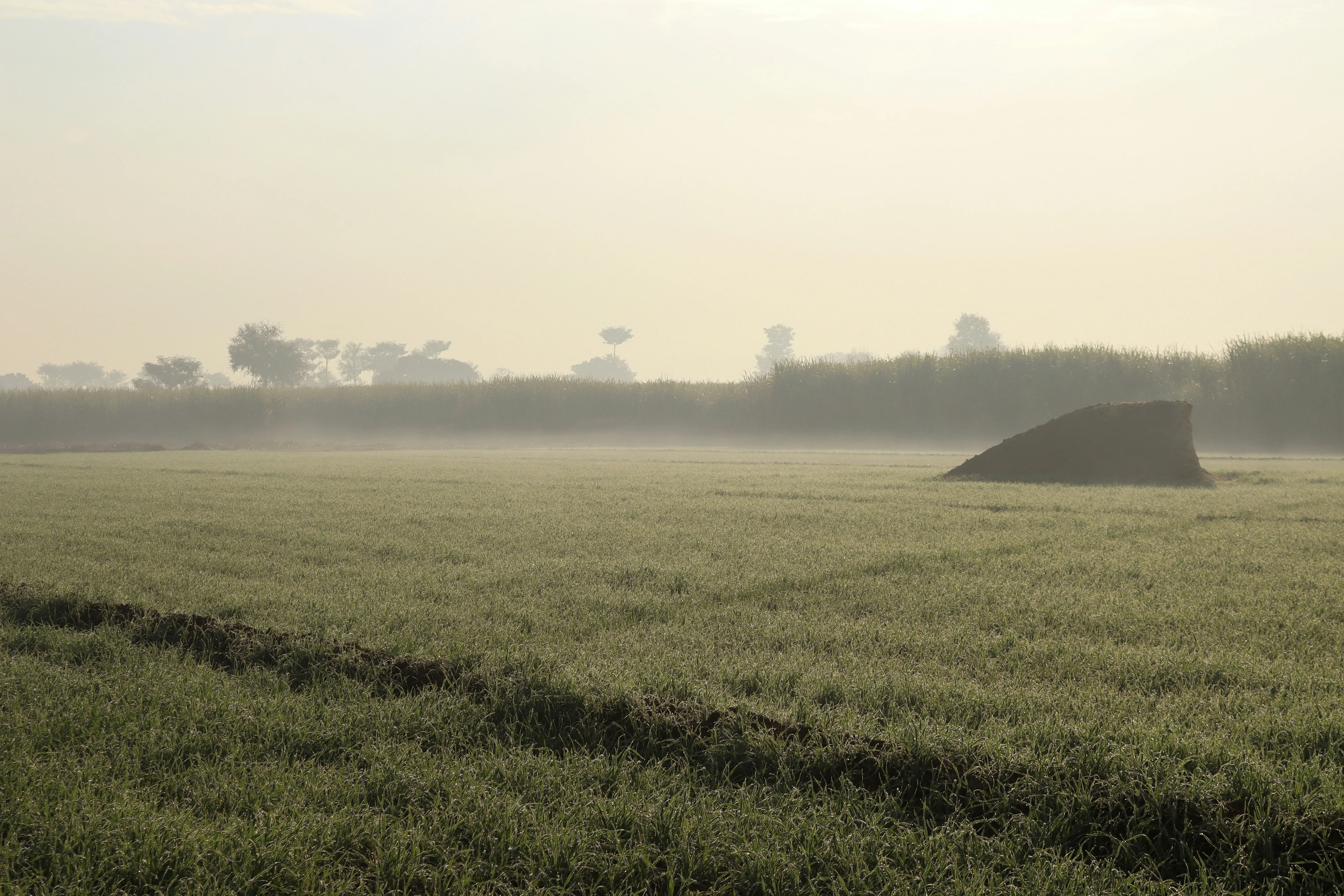 Early Morning Mist Over Green Farming Fields Wallpaper