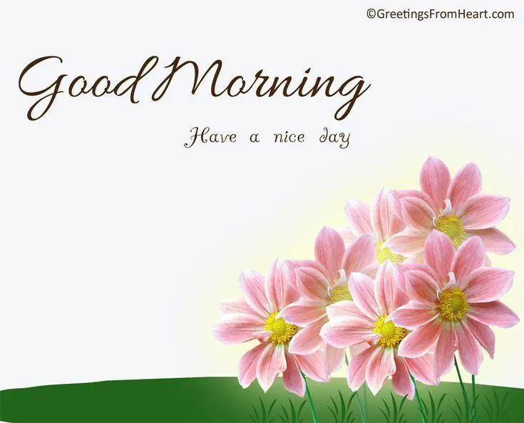 Elegant Green Line Design with Classic Morning Note