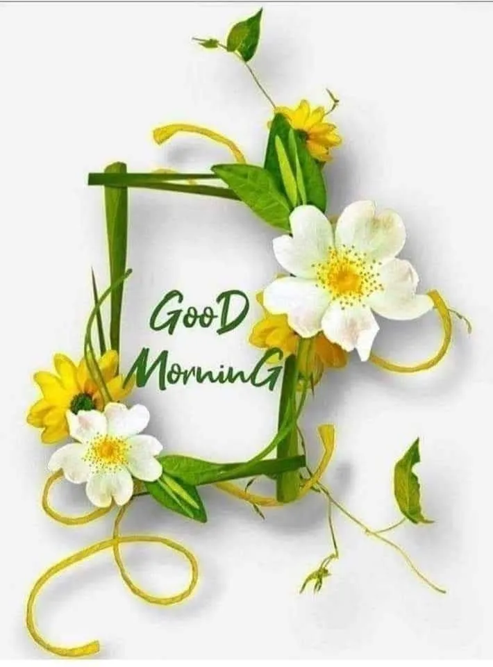 Elegant Morning Greeting with Fresh White Flowers Image