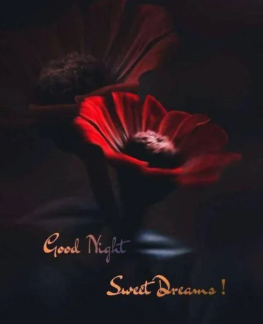 Elegant Red Rose Design with Peaceful Good Night Wish