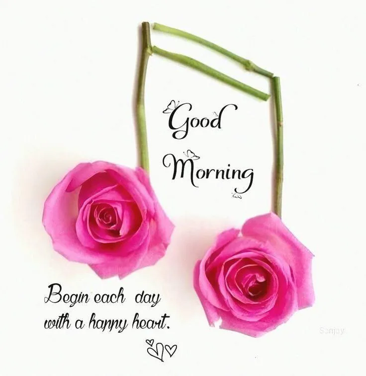 Elegant Roses with Positive Morning Message Card Wallpaper