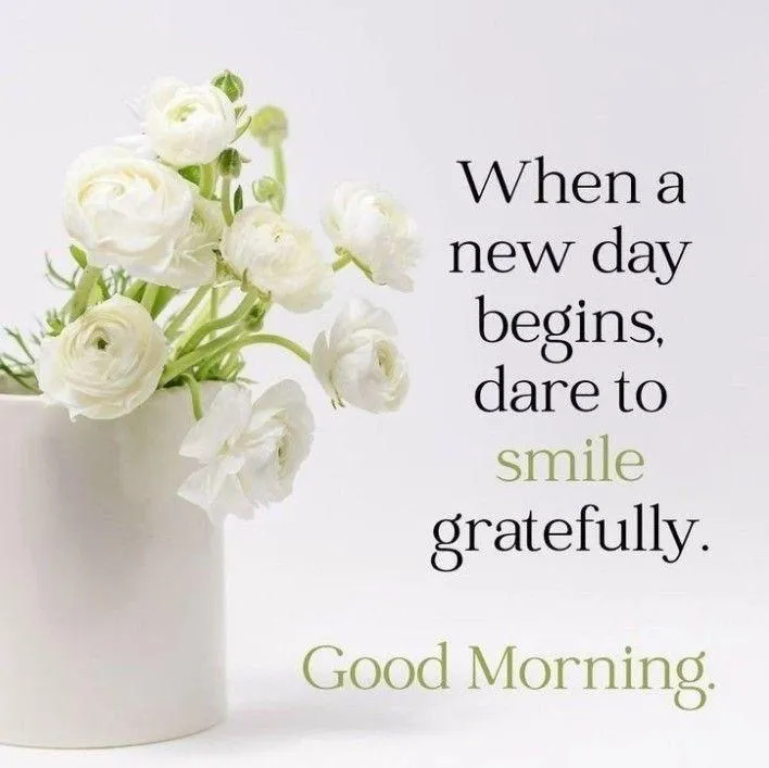 Elegant White Floral Greeting with Fresh Vibes Wallpaper