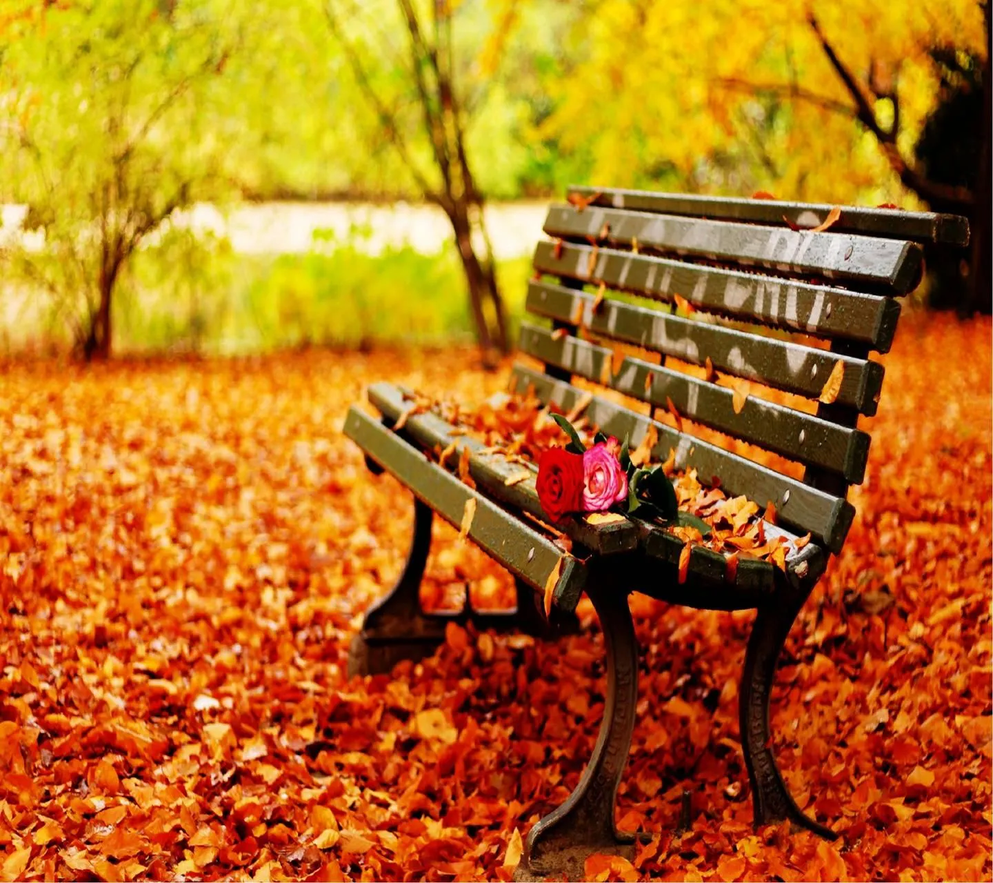 Empty Park Bench in Autumn Representing Memories Wallpaper