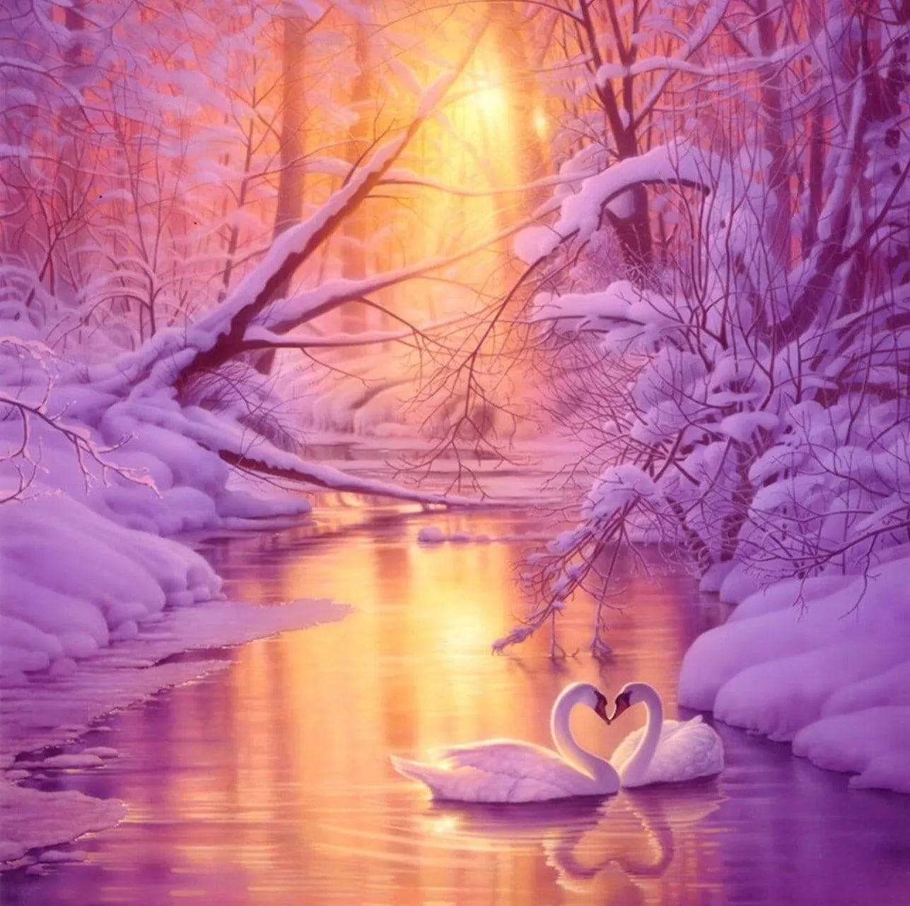 Enchanting Winter Sunset with Swans on a Frozen River