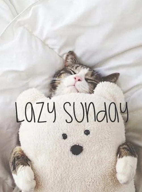 Enjoy Lazy and Relaxing Sunday Mornings with Calm Image