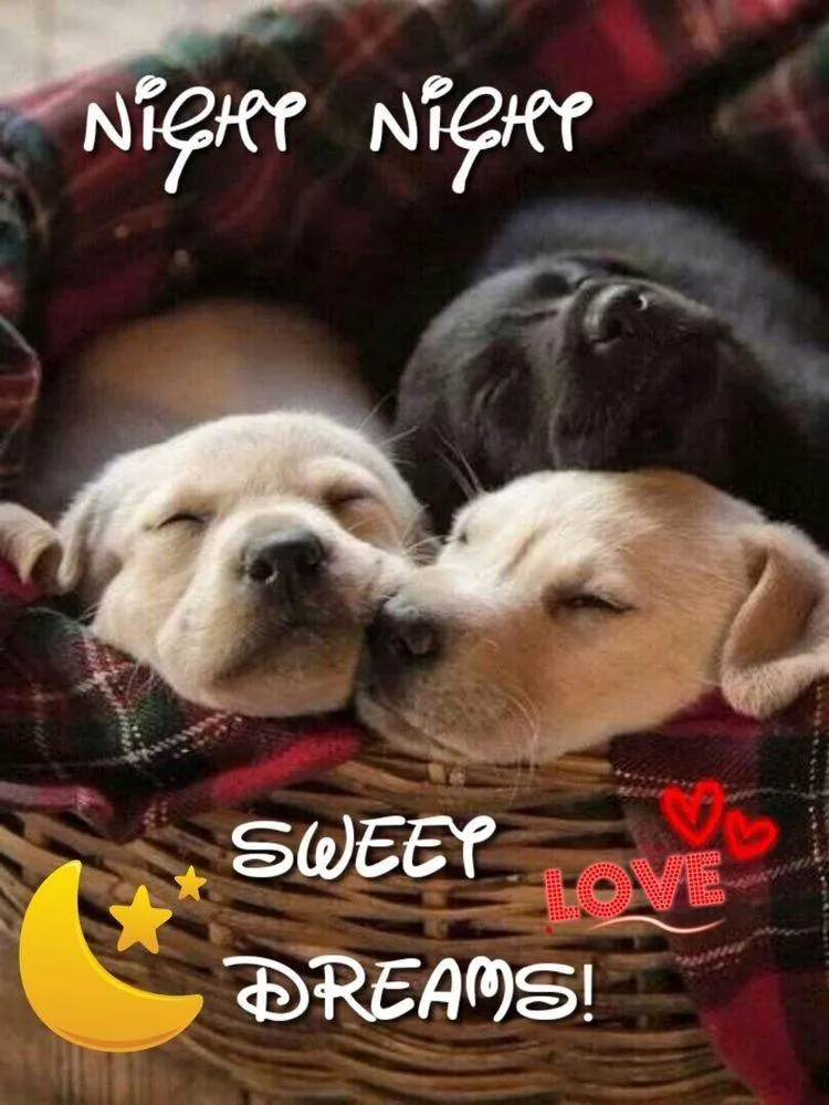 Experience Peace and Love with Calm Night and Morning