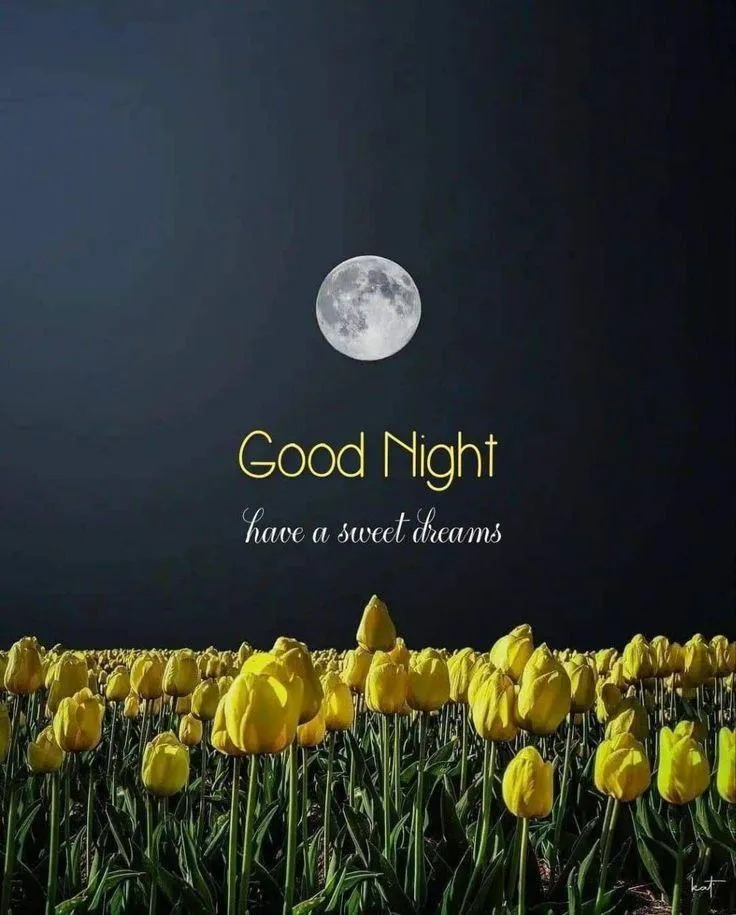 Field of Yellow Flowers with Good Night Message Above