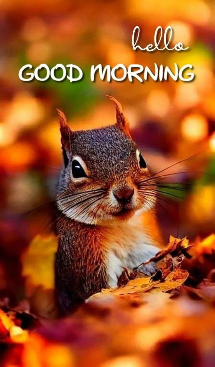 Fiery Good Morning Image to Energize Your Daily Mood