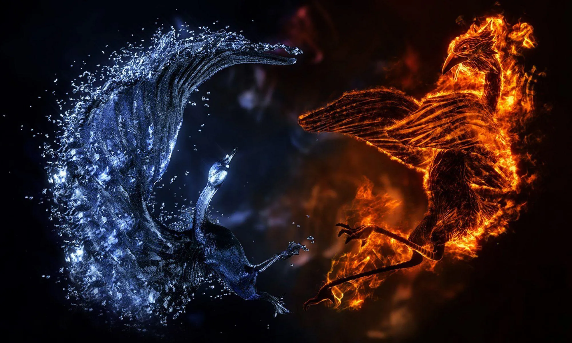 Fire and Water Swans Showing Powerful Emotions Wallpaper