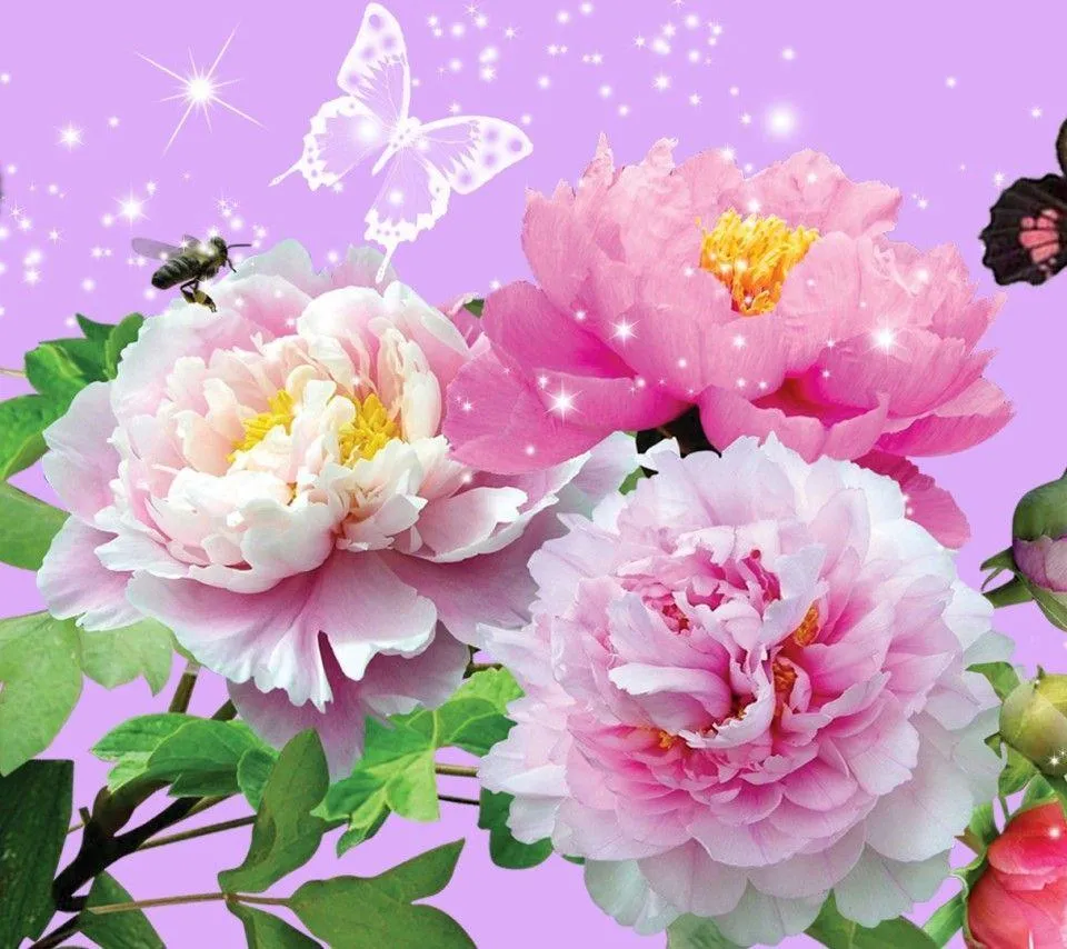 Floral Romantic Love Wallpaper for Valentine Celebration