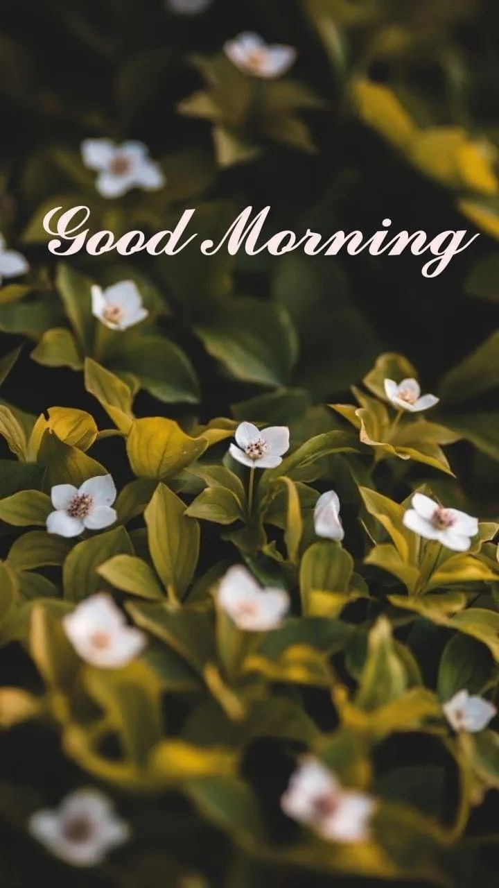 Flowers and Gold Text for a Serene Morning Greeting