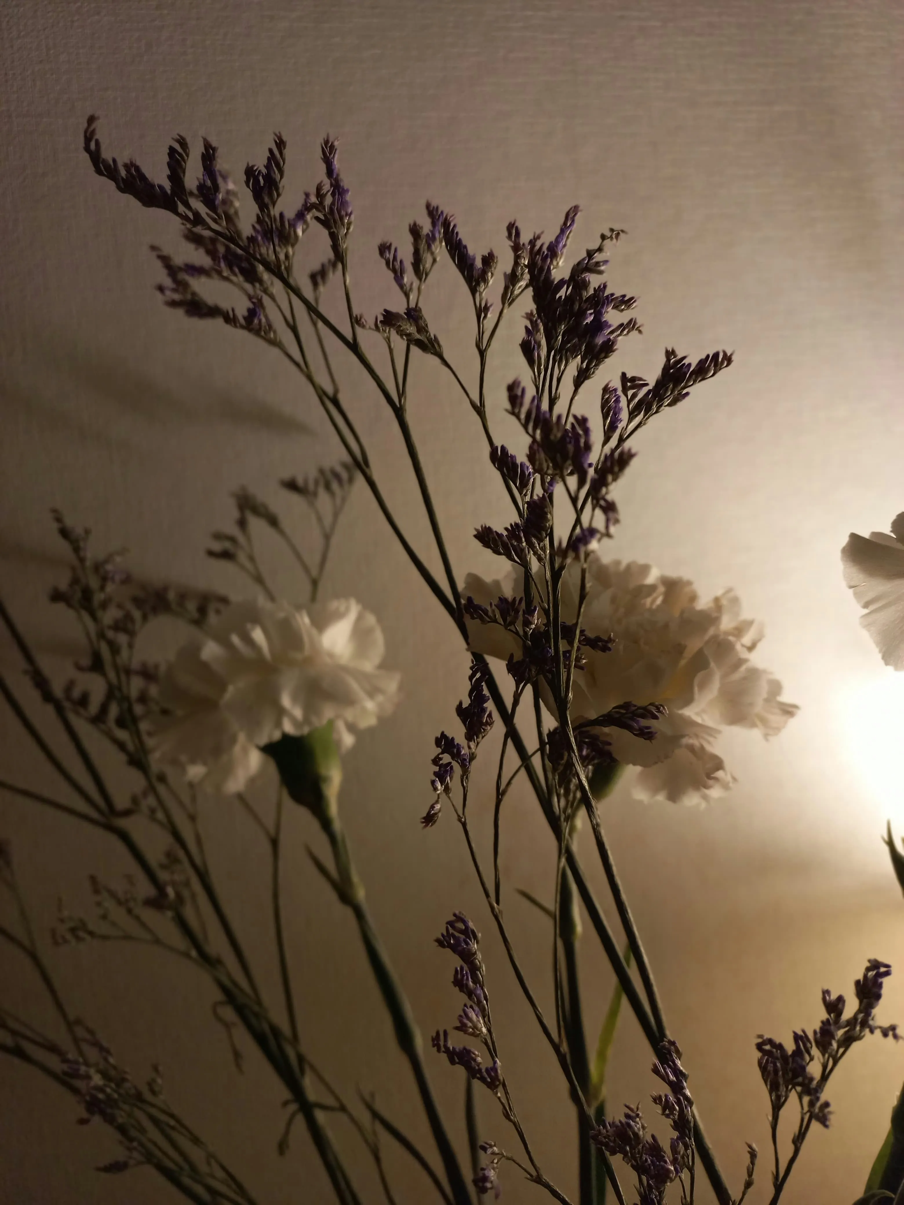 Flowers Silhouetted in Warm Evening Light Wallpaper
