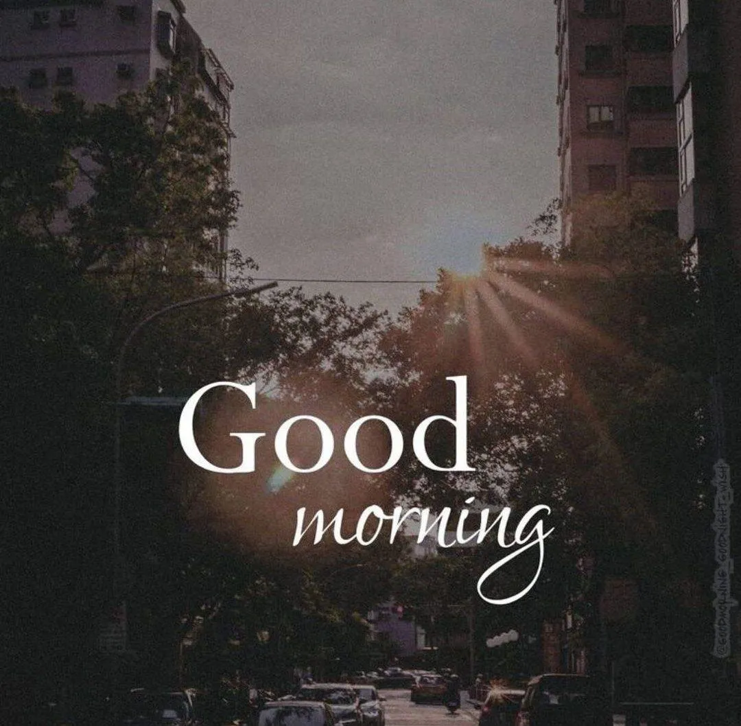 Forest Road Greeting You with a Calm Peaceful Morning